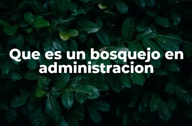 Que es un Bosquejo en Administracion