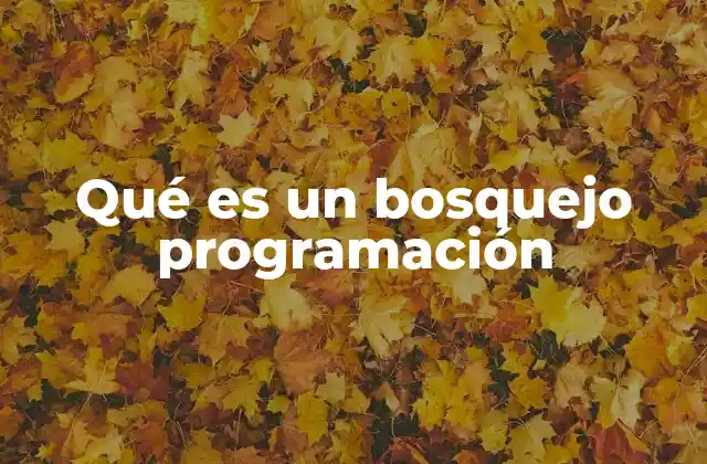 Qué es un Bosquejo Programación
