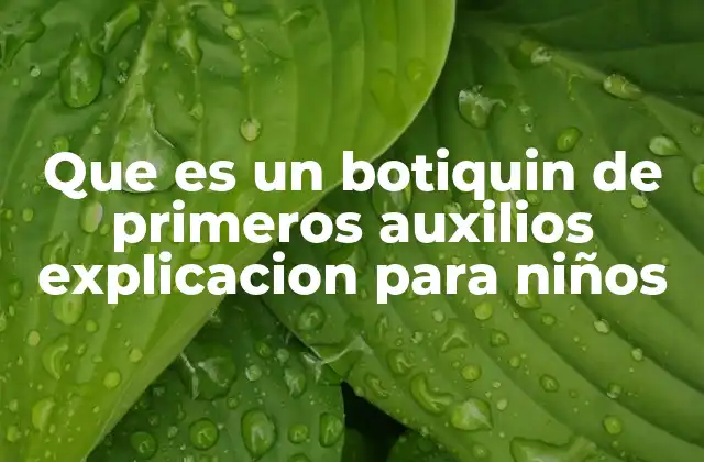 Que es un Botiquin de Primeros Auxilios Explicacion para Niños