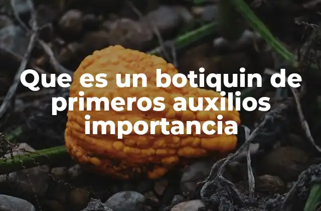 Que es un Botiquin de Primeros Auxilios Importancia