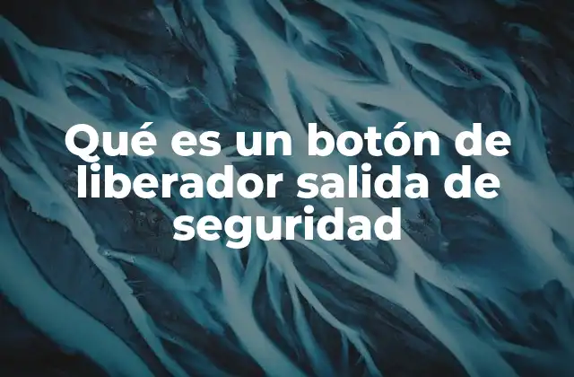 Qué es un Botón de Liberador Salida de Seguridad