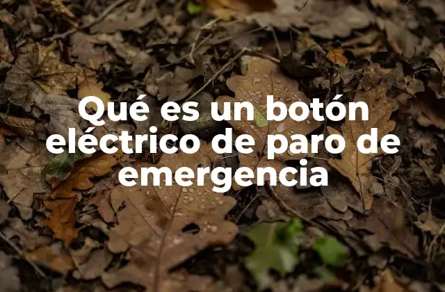 Qué es un Botón Eléctrico de Paro de Emergencia
