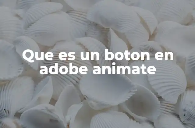 Que es un Boton en Adobe Animate