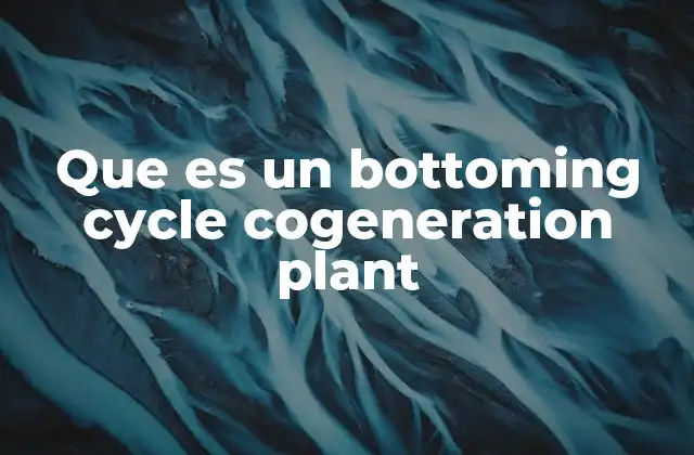 Que es un Bottoming Cycle Cogeneration Plant