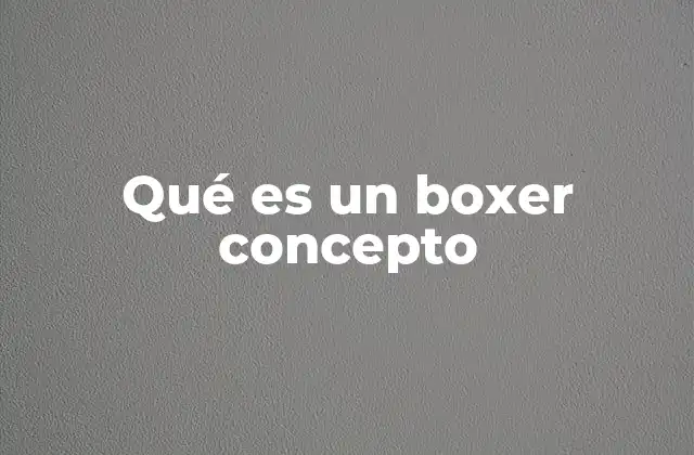 Qué es un Boxer Concepto