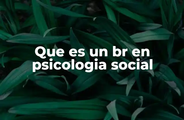 Que es un Br en Psicologia Social