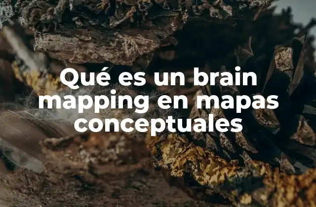 Qué es un Brain Mapping en Mapas Conceptuales