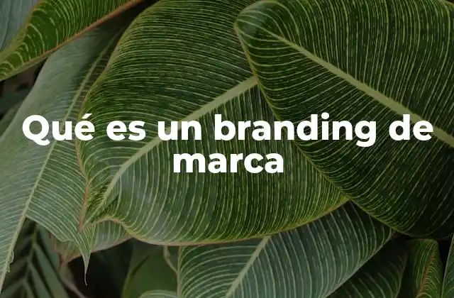 La importancia del branding en el entorno competitivo