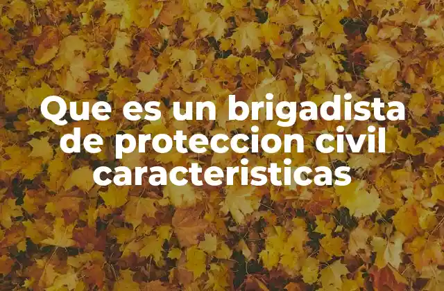 Que es un Brigadista de Proteccion Civil Caracteristicas