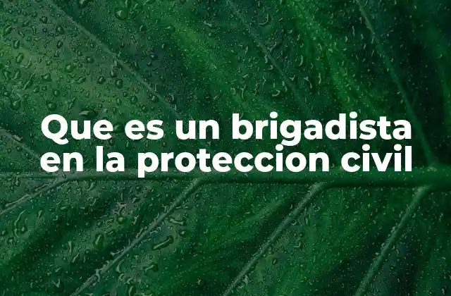 Que es un Brigadista en la Proteccion Civil