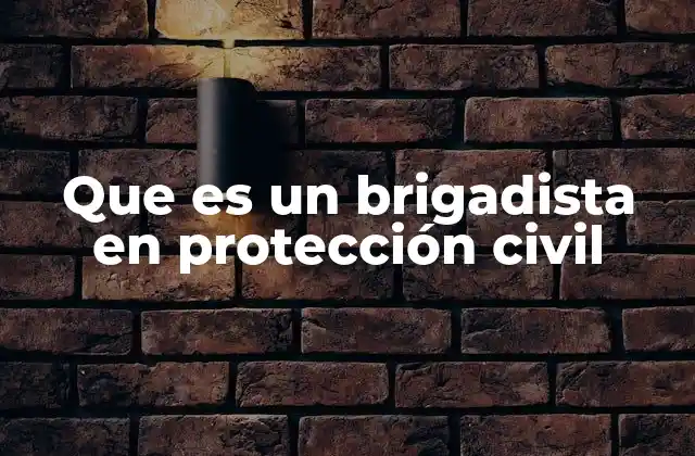 Que es un Brigadista en Protección Civil