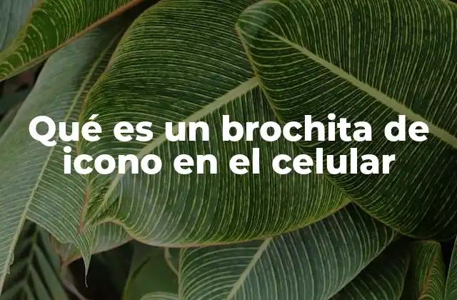 Qué es un Brochita de Icono en el Celular