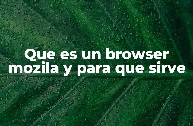 Que es un Browser Mozila y para que Sirve 2 Cómo funciona el navegador Firefox