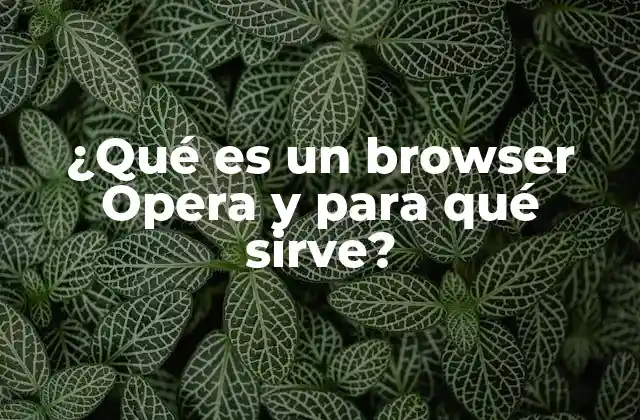 Características que diferencian a Opera de otros navegadores