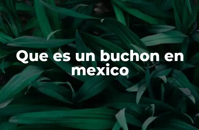 Que es un Buchon en Mexico 2 El buchón en el contexto cotidiano mexicano