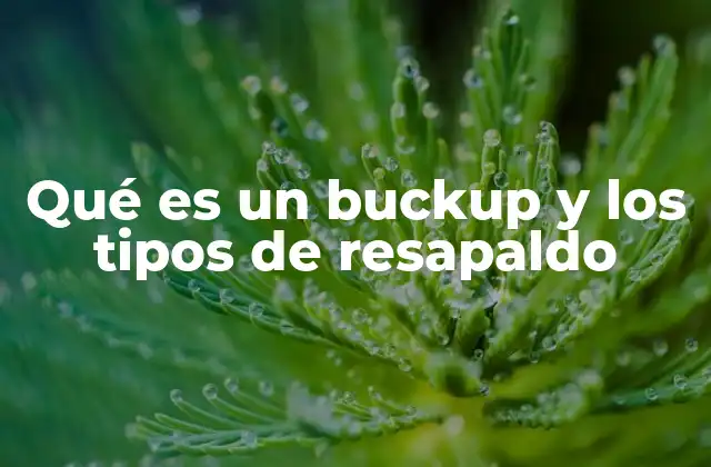 Qué es un Buckup y los Tipos de Resapaldo
