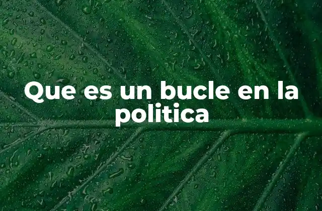 Que es un Bucle en la Politica