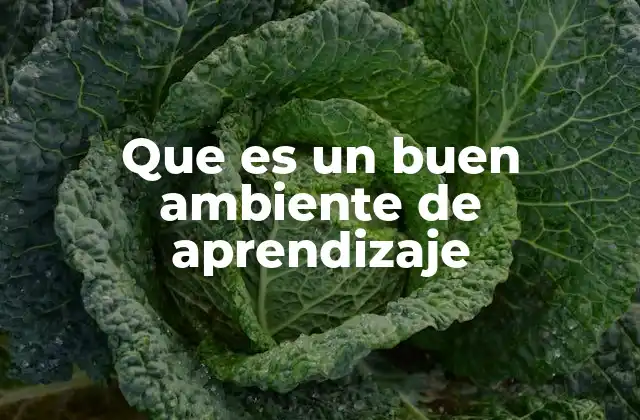 Que es un Buen Ambiente de Aprendizaje