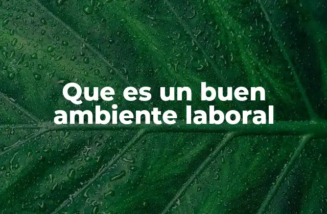 Que es un Buen Ambiente Laboral