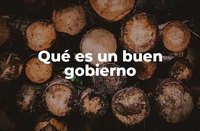 Qué es un Buen Gobierno