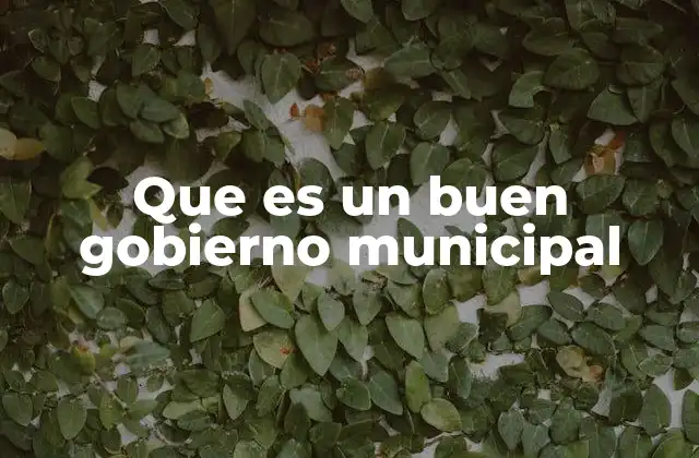 Que es un Buen Gobierno Municipal