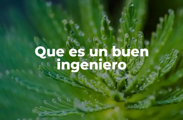 Que es un Buen Ingeniero