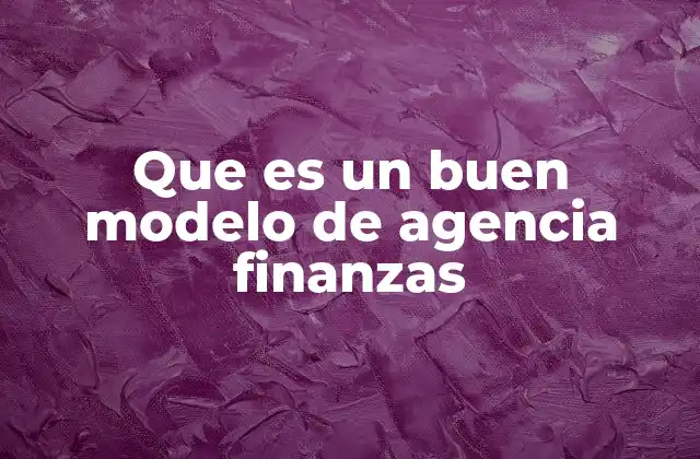 Que es un Buen Modelo de Agencia Finanzas