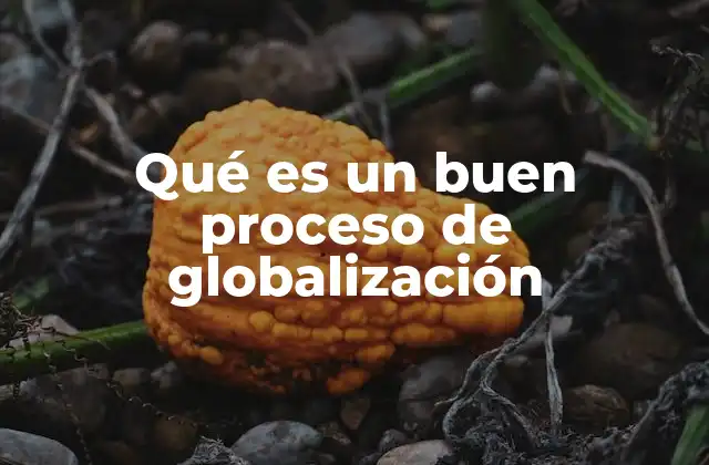 Qué es un Buen Proceso de Globalización