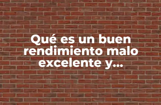 Qué es un Buen Rendimiento Malo Excelente y Cuantitativo
