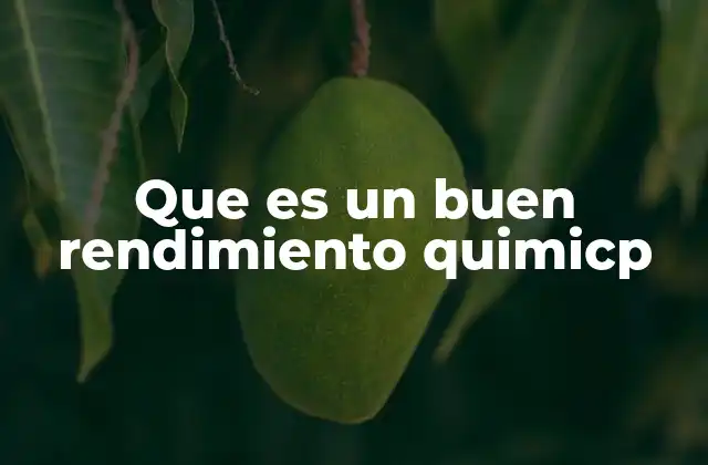 Que es un Buen Rendimiento Quimicp