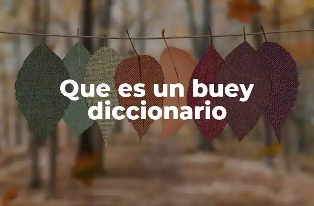 Que es un Buey Diccionario