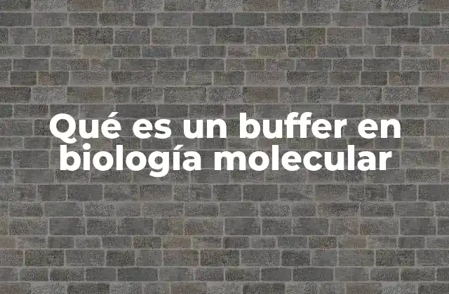 Qué es un Buffer en Biología Molecular