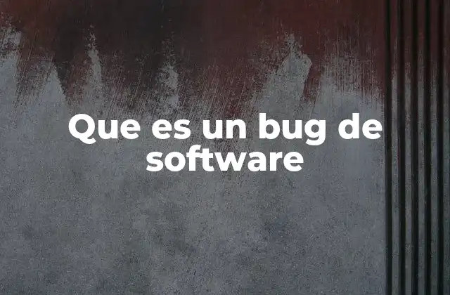 Que es un Bug de Software