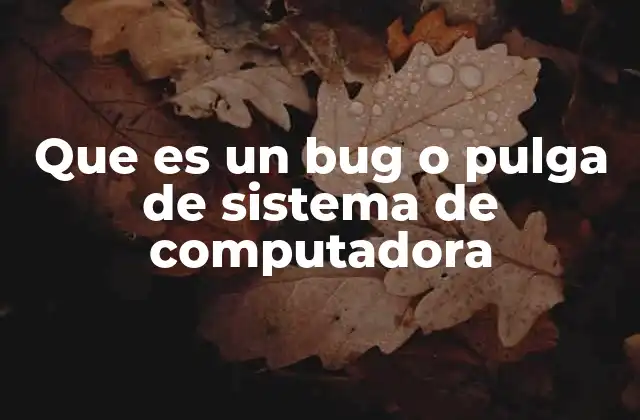 Que es un Bug o Pulga de Sistema de Computadora