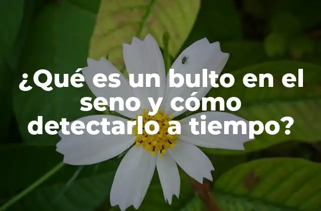 ¿qué es un Bulto en el Seno y Cómo Detectarlo a Tiempo?