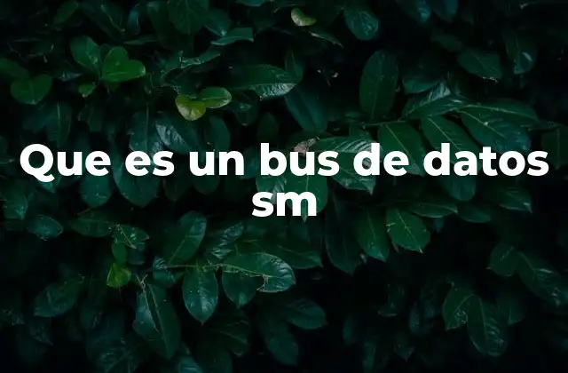 Que es un Bus de Datos Sm