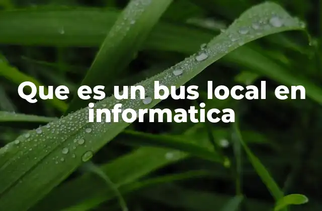 Que es un Bus Local en Informatica
