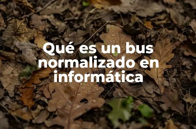 Qué es un Bus Normalizado en Informática