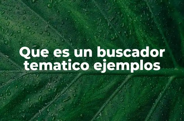 Que es un Buscador Tematico Ejemplos