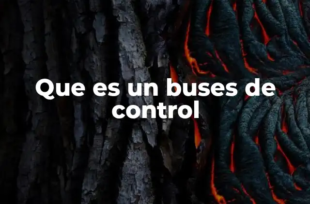 Que es un Buses de Control