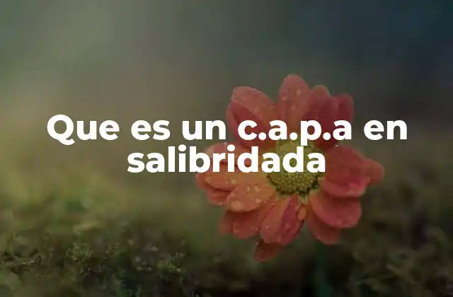 Que es un C.a.p.a en Salibridada