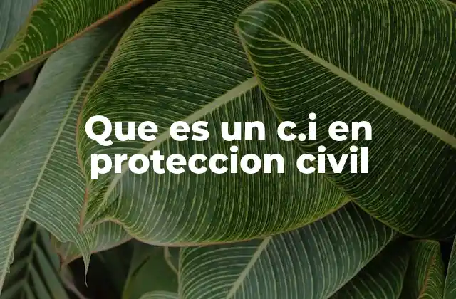 Que es un C.i en Proteccion Civil
