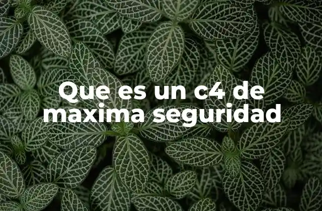 Características del C4 de máxima seguridad