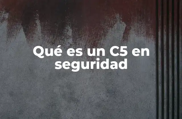 Qué es un C5 en Seguridad