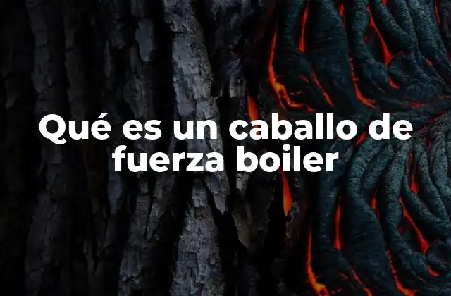 Qué es un Caballo de Fuerza Boiler