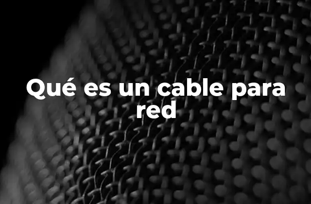 Componentes y estructura de un cable de red