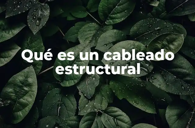 Qué es un Cableado Estructural