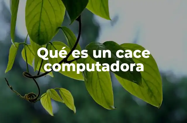 Qué es un Cace Computadora