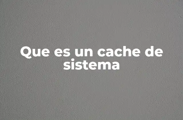 Que es un Cache de Sistema