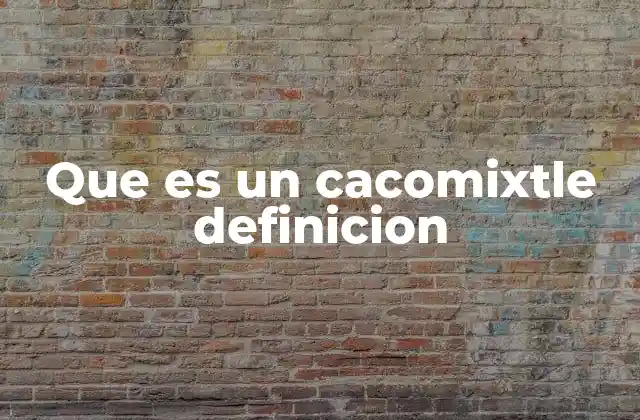 Que es un Cacomixtle Definicion
